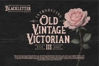 Victorian Iii Font for Elegant Web Design Projects