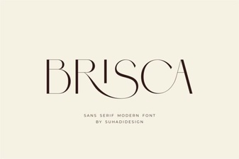 Brisca Font: Creative Typography Projects